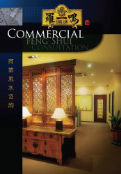 COMMERCIAL FENG SHUI CONSULTATION