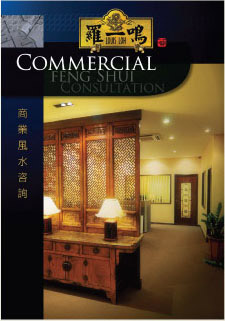 COMMERCIAL FENG SHUI CONSULTATION