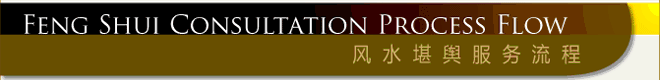 Feng Shui Consultation Process Flow