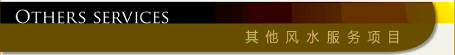 Other Feng Shui Services