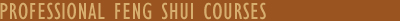 Professional Feng Shui Course