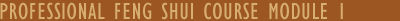 Professional Feng Shui Course
