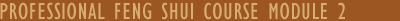 Professional Feng Shui Course