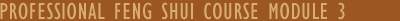 Professional Feng Shui Course
