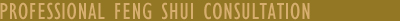 Professional Feng Shui Consultation